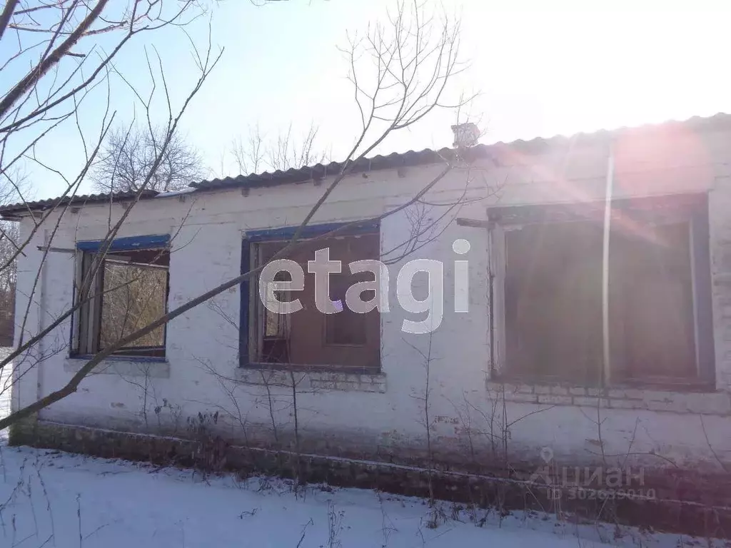 Дом в Белгородская область, Волоконовский район, Староивановское ... - Фото 1