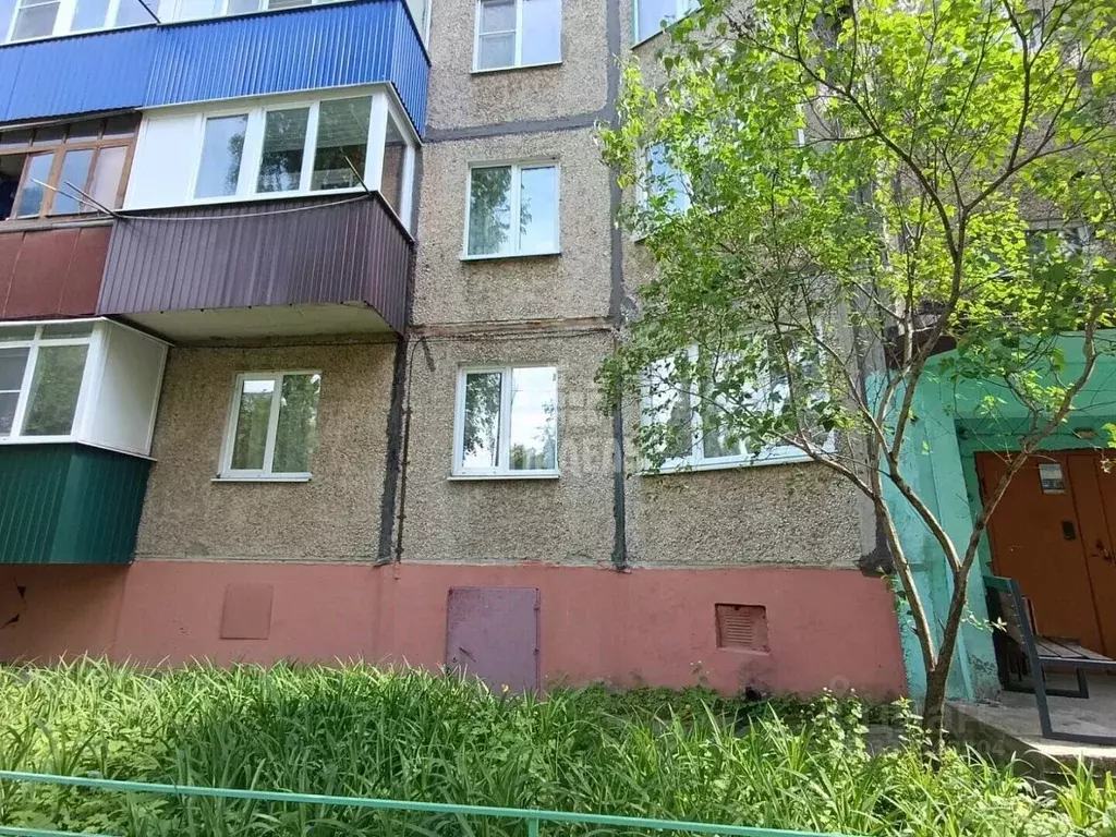 3-к кв. Липецкая область, Елец Юбилейная ул., 25 (63.0 м) - Фото 1
