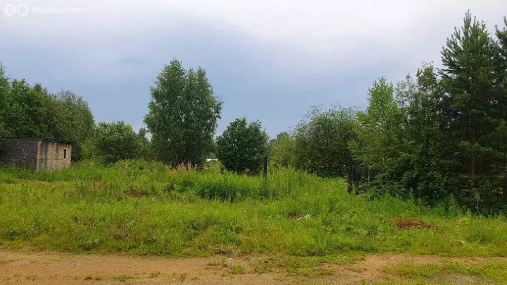 Участок в посёлок Ключевск, Трудовая улица (11 м) - Фото 2