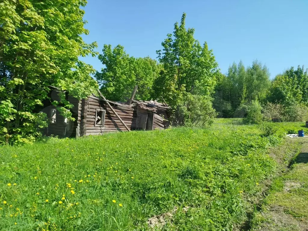 Участок 32 сот. (ИЖС) - Фото 1