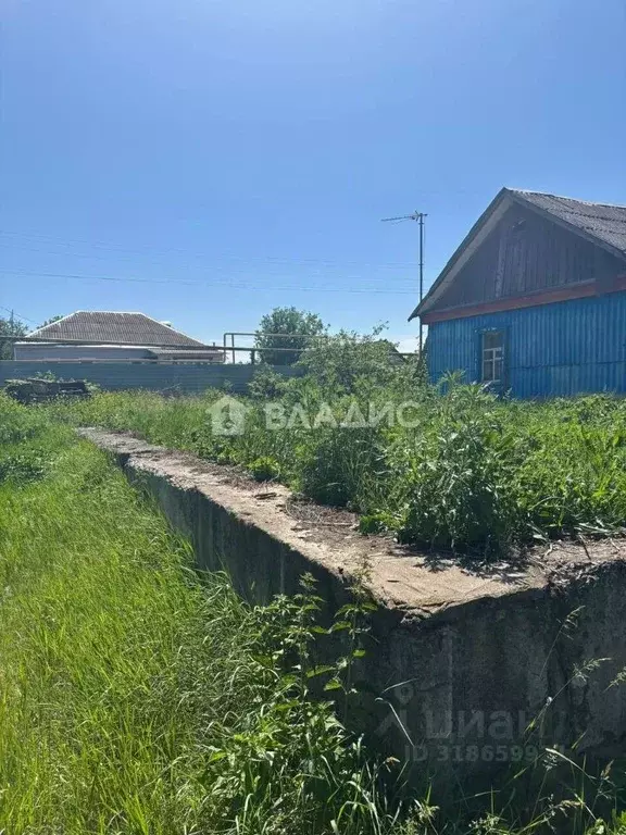 Дом в Воронежская область, Семилукское с/пос, с. Ендовище ул. ... - Фото 1