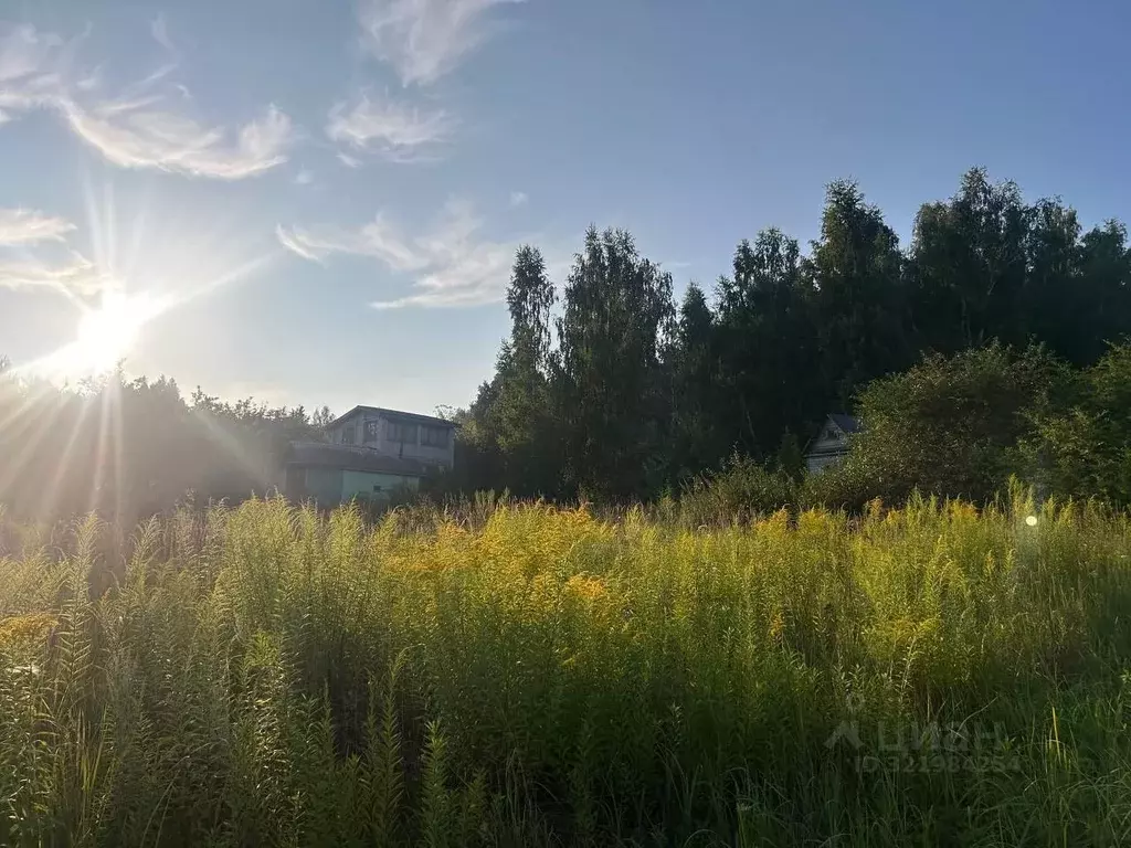 Участок в Нижегородская область, Нижний Новгород с. Шава, ул. Новый ... - Фото 1