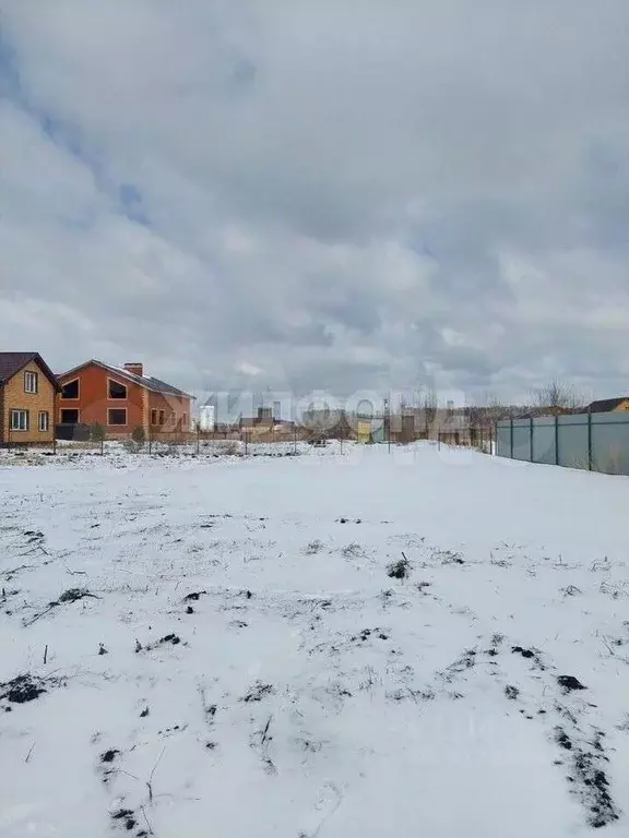 Участок в Новосибирская область, Новосибирский район, Мичуринский ... - Фото 0