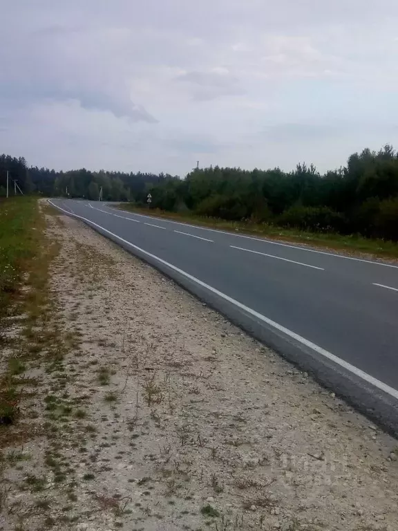 Участок в Владимирская область, Судогодский район, Андреевское ... - Фото 0