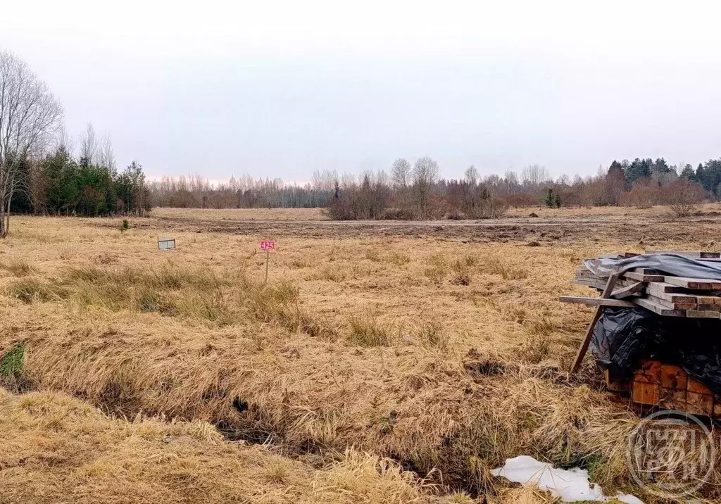 Участок в Ленинградская область, Выборгский район, Рощинское городское ... - Фото 1