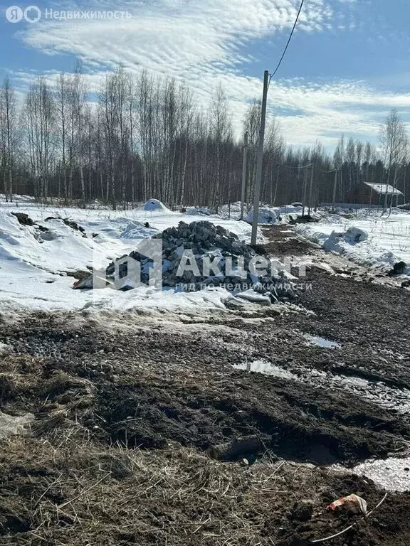 Участок в Ивановский район, Беляницкое сельское поселение, деревня ... - Фото 0