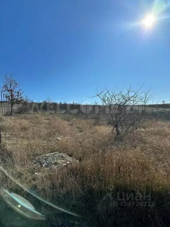 Участок в Краснодарский край, Анапа муниципальный округ, с. Варваровка ... - Фото 2