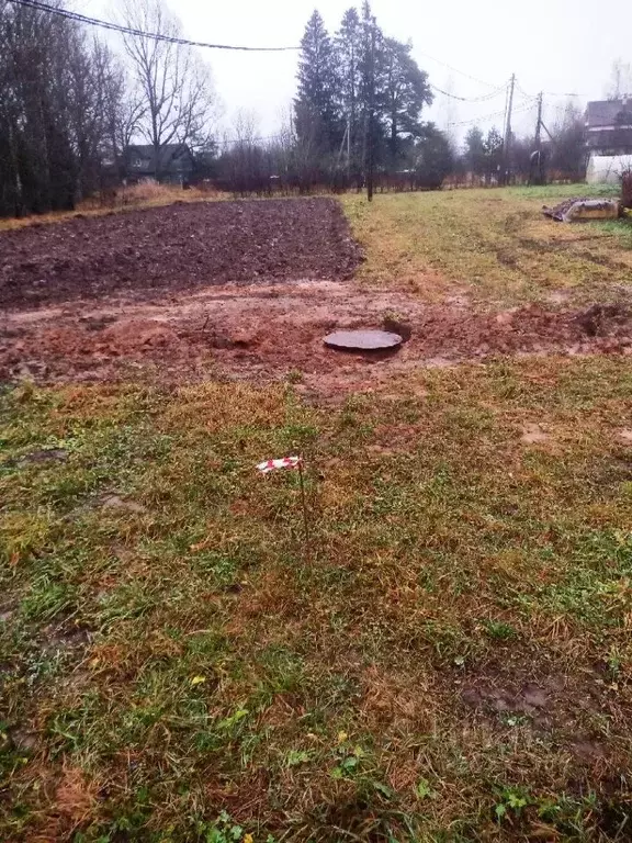 Участок в Ленинградская область, Гатчинский муниципальный округ, д. ... - Фото 2