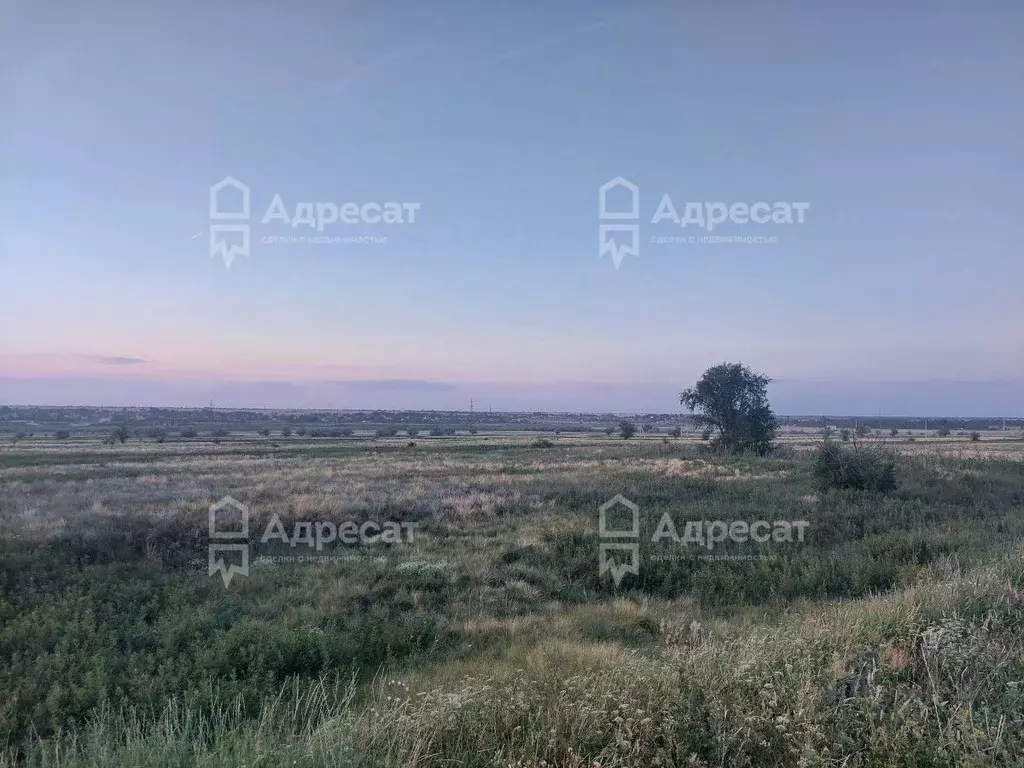 Участок в Волгоградская область, Волгоград ул. Ясногорская (8.72 сот.) - Фото 0