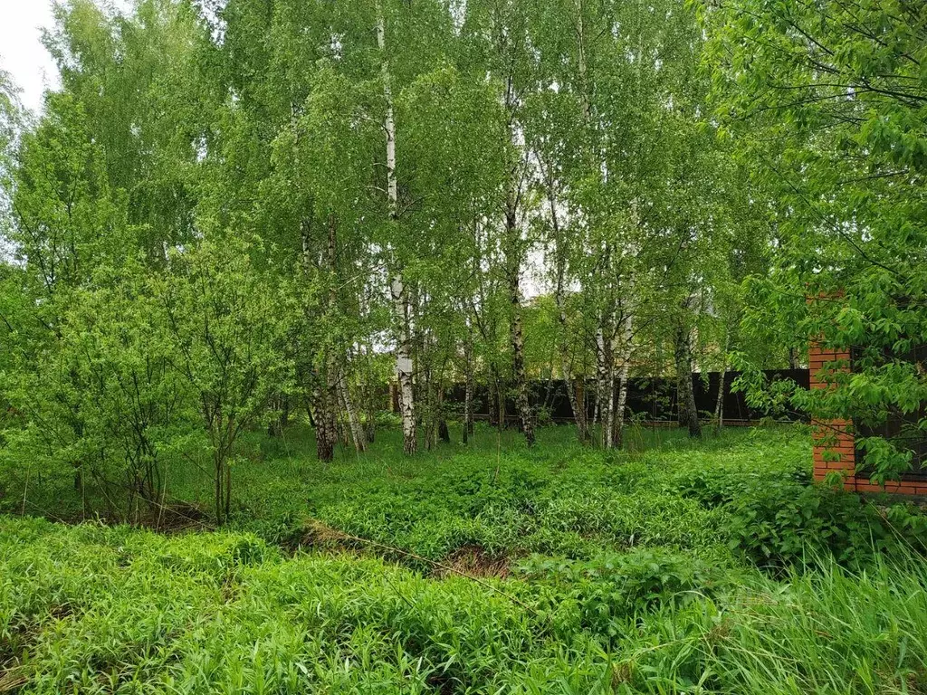 Участок, 15 сот., сельхоз (снт или днп) - Фото 1