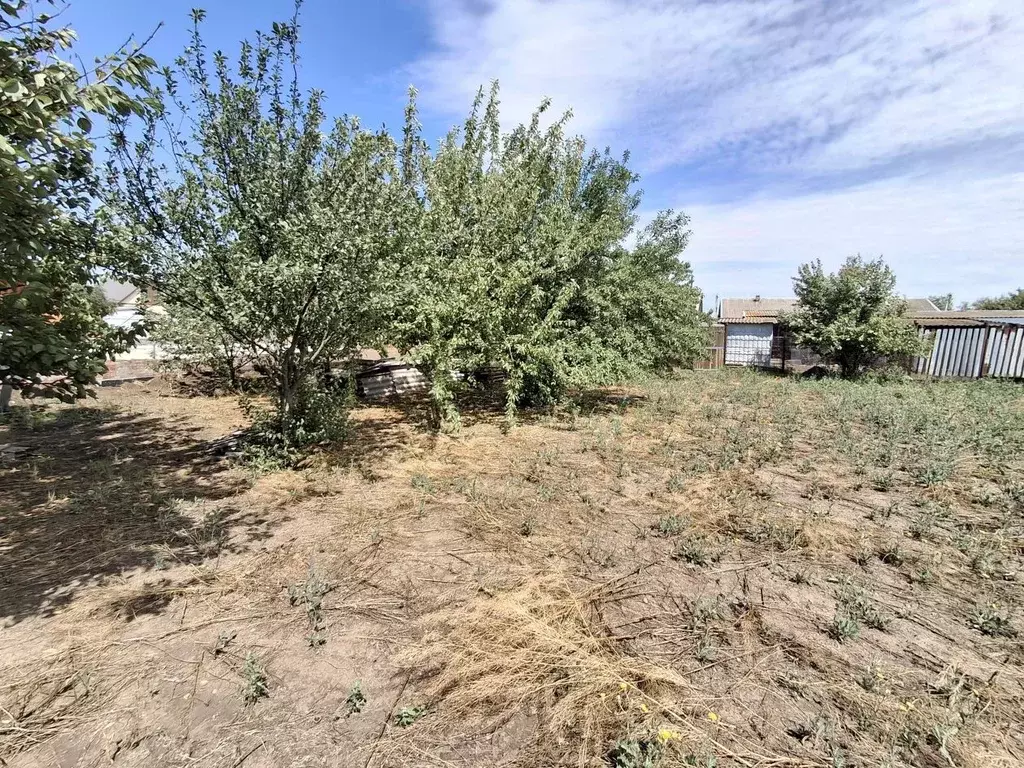 Участок в Краснодарский край, Ейский район, Александровское с/пос, с. ... - Фото 2