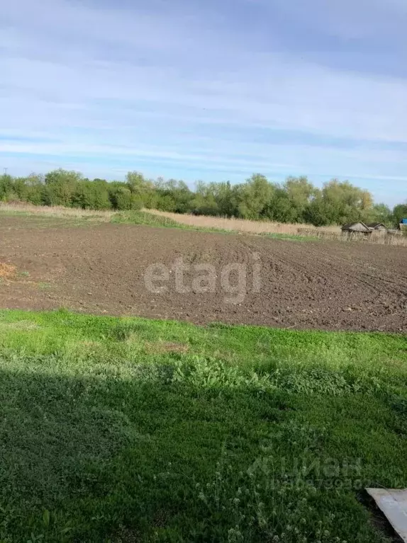 Участок в Саратовская область, Татищевский район, Сторожевское ... - Фото 0