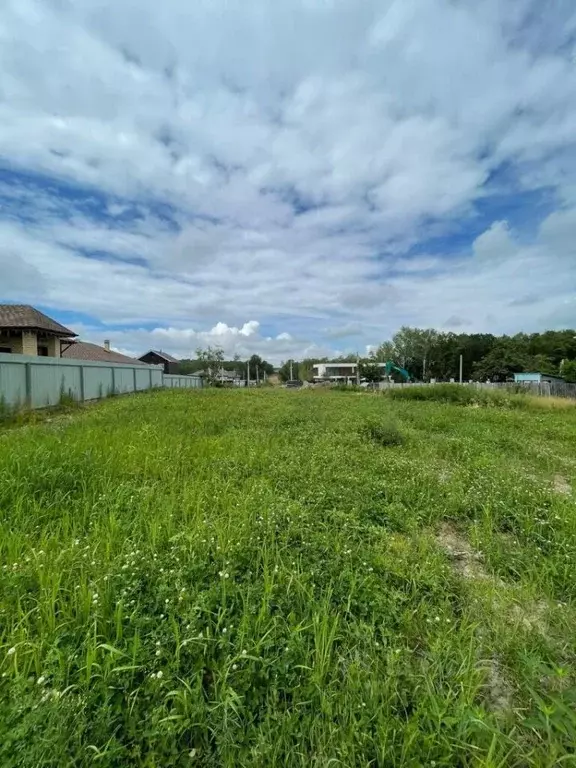 Участок в Амурская область, Благовещенский район, Медовая тер. проезд ... - Фото 1