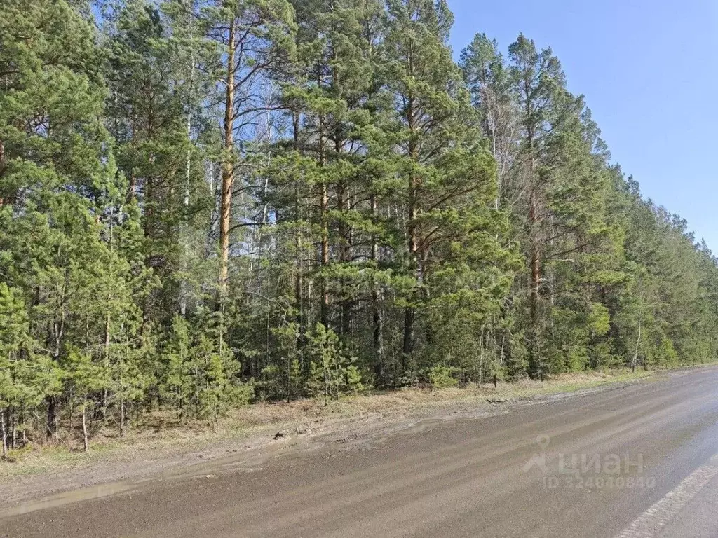 Участок в Тюменская область, Тюменский муниципальный округ, с. Кулига ... - Фото 1