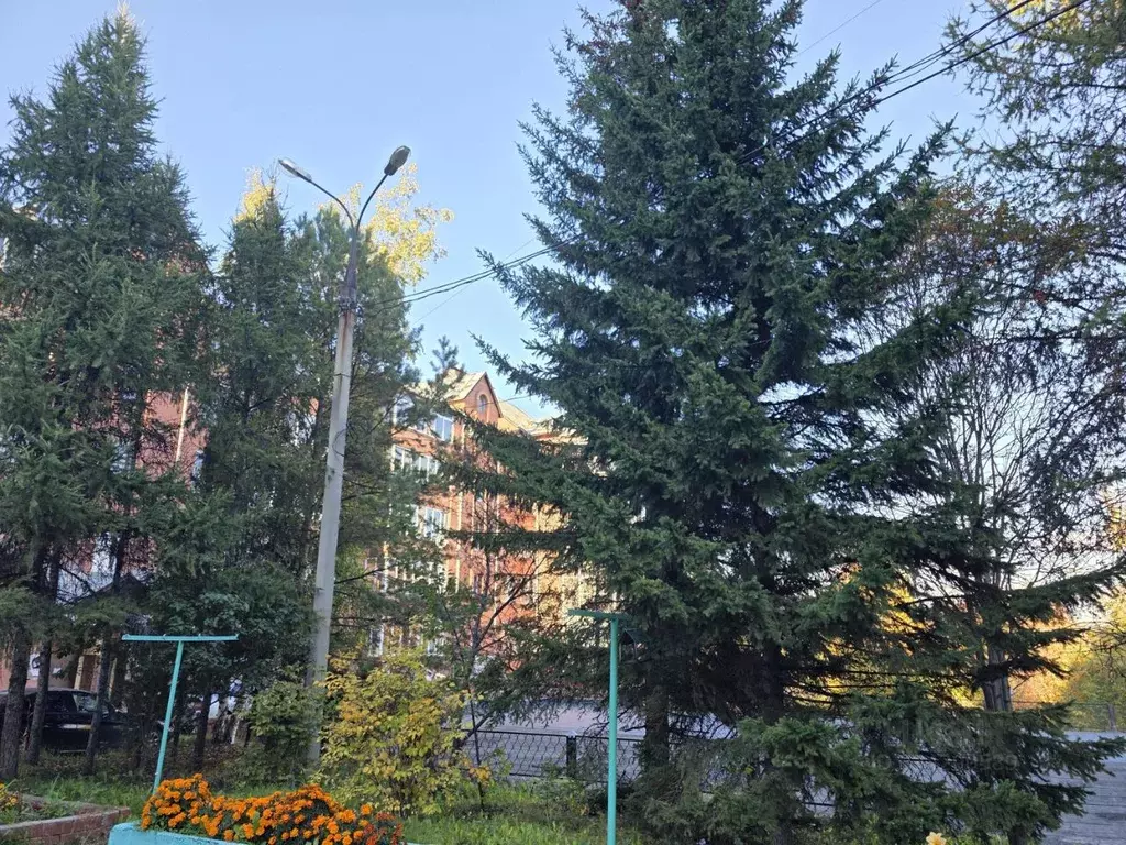 3-к кв. Иркутская область, Иркутск ул. Ломоносова, 74/1 (150.0 м) - Фото 2