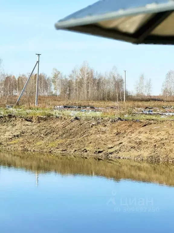 Участок в Тюменская область, Нижнетавдинский район, Тюневское с/пос, 7 ... - Фото 1