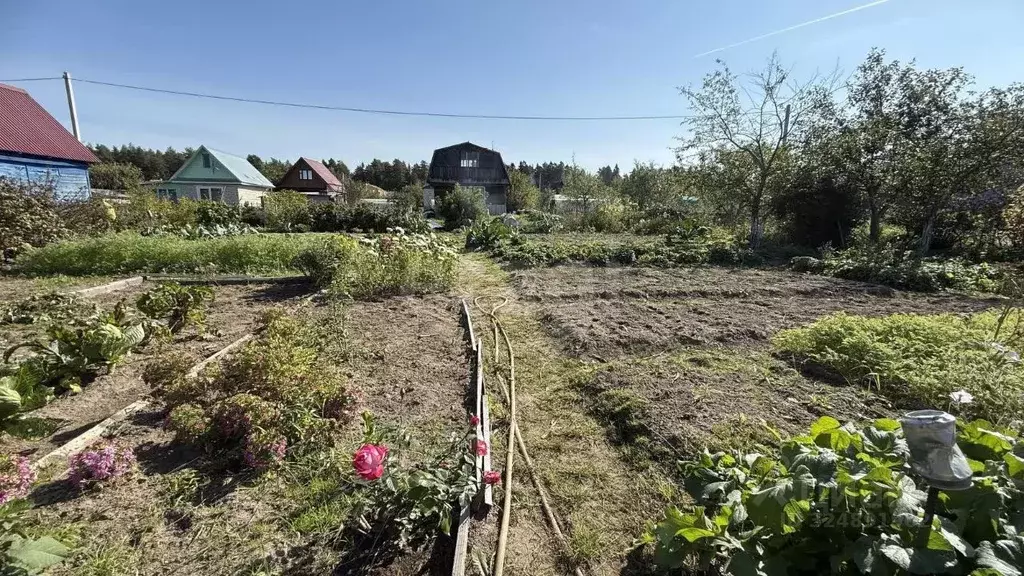 Участок в Владимирская область, Ковровский район, Клязьминское с/пос, ... - Фото 2