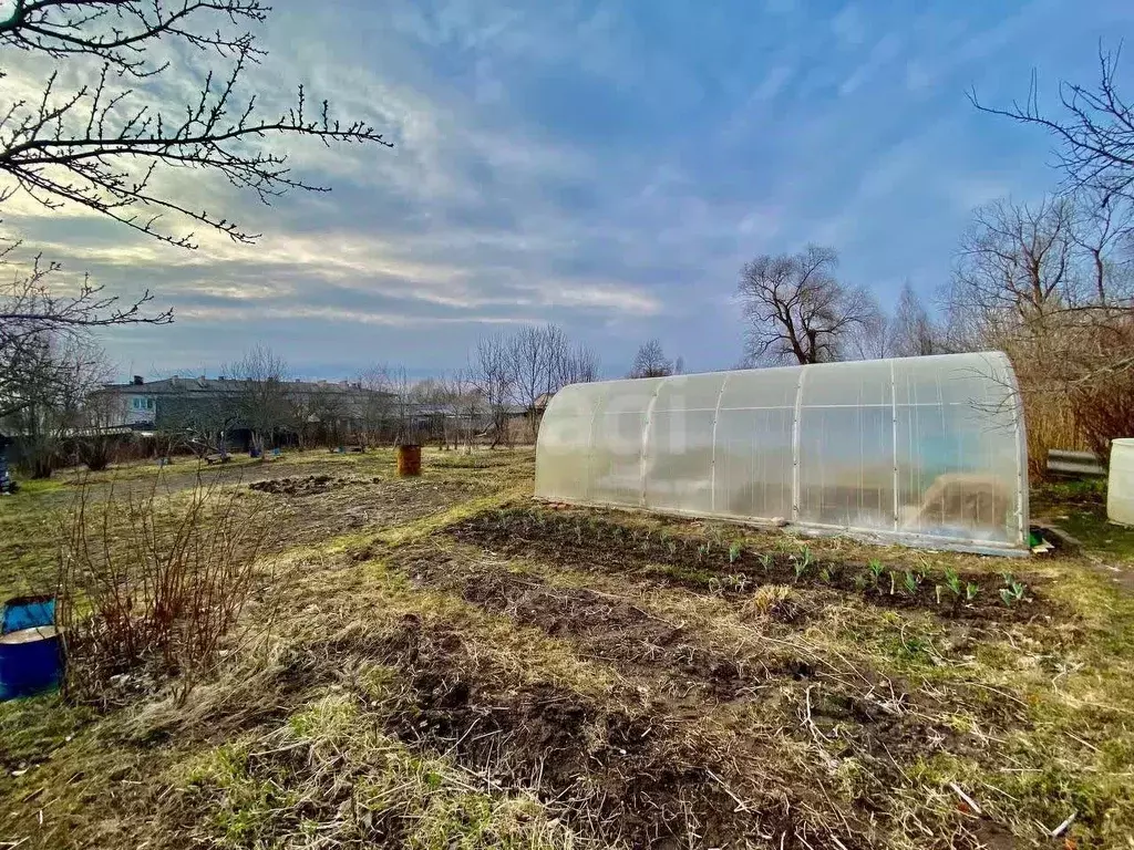 Участок в Псковская область, Порховский муниципальный округ, д. ... - Фото 2