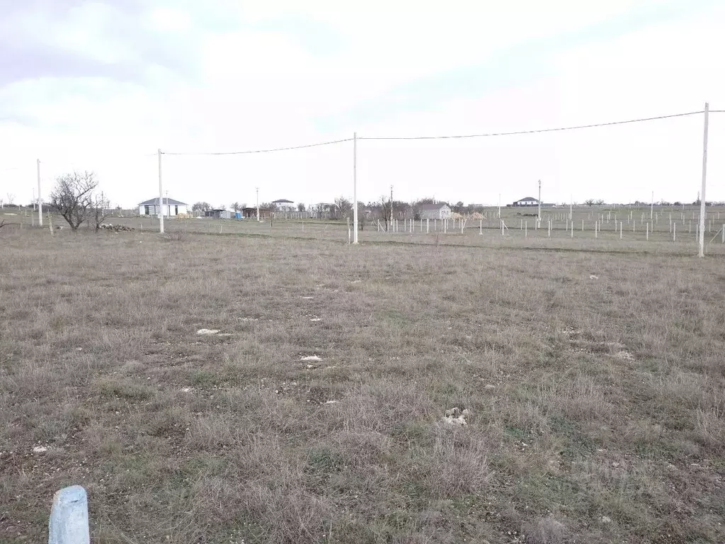 Участок в Крым, Симферопольский район, Родниковское с/пос, Содружество ... - Фото 1