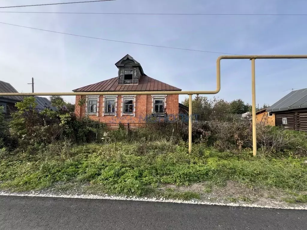 Участок в Нижегородская область, Богородский муниципальный округ, с. ... - Фото 2