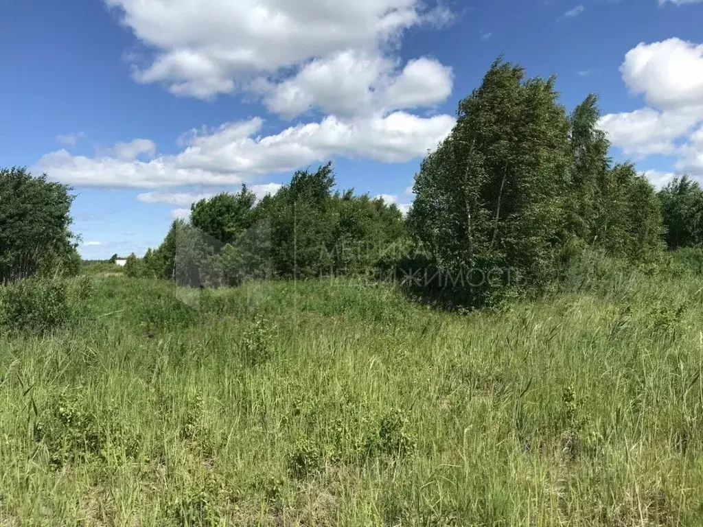 Дом в Тюменская область, Нижнетавдинский муниципальный округ, Душевное ... - Фото 1