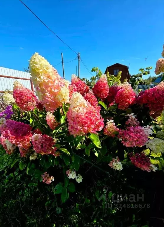 Дом в Московская область, Чехов муниципальный округ, д. Булычево 30 ... - Фото 2