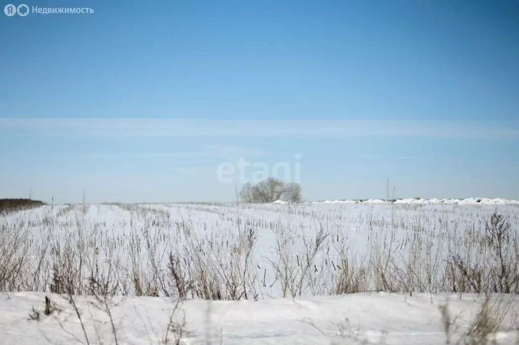 Участок в село Бессоновка, Виноградная улица (10.8 м) - Фото 1