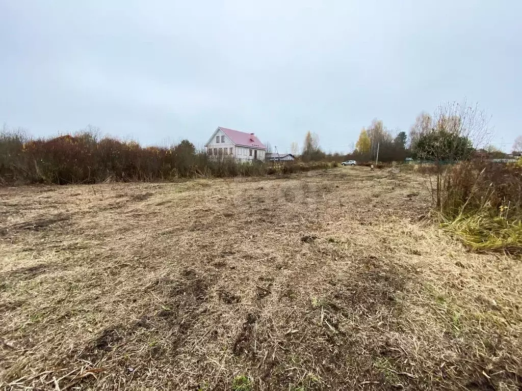 Участок в Ярославская область, Рыбинский муниципальный округ, с. Спасс ... - Фото 1