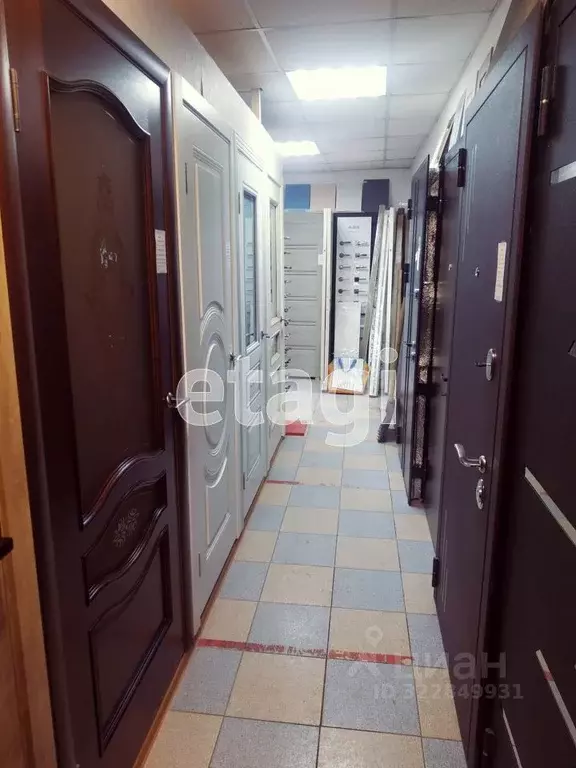 Офис в Смоленская область, Смоленск ул. Кашена, 8 (40 м) - Фото 1