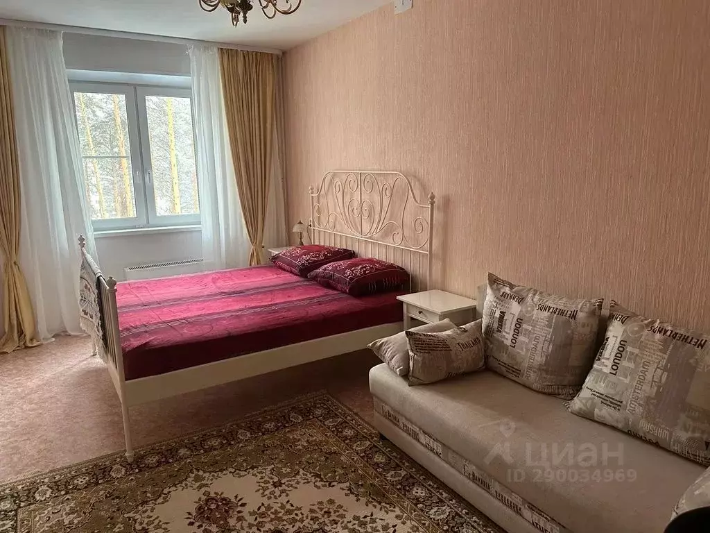 2-к кв. Челябинская область, Снежинск Чкаловская ул., 13 (58.0 м) - Фото 1