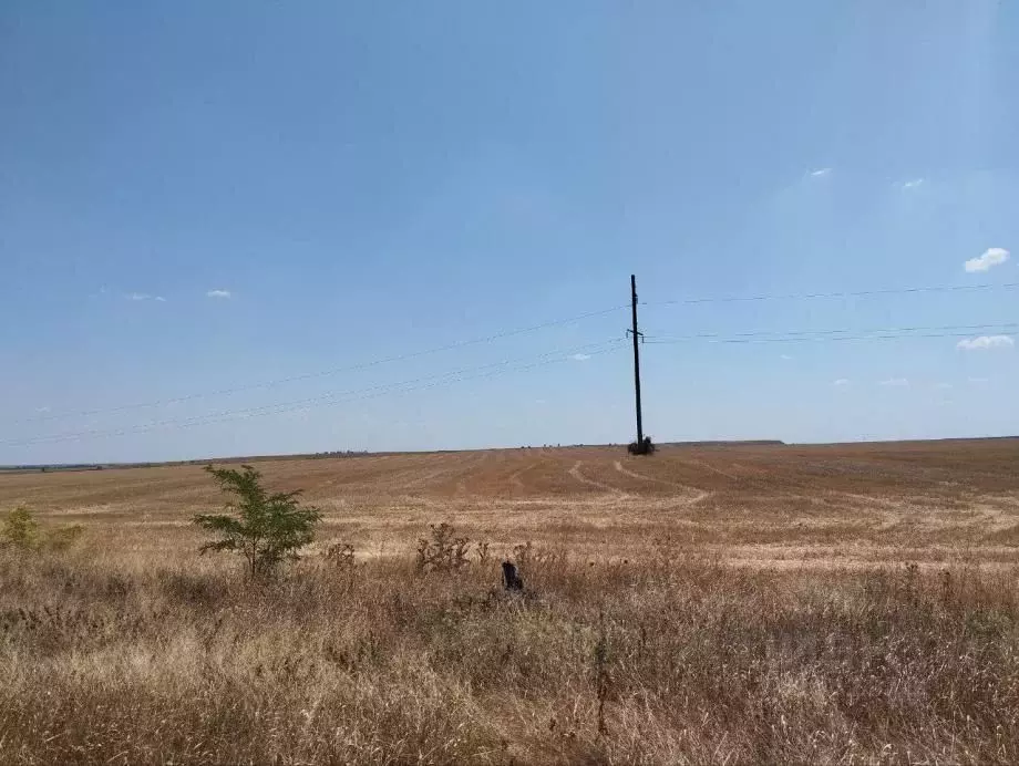 Участок в Крым, Симферопольский район, Гвардейское пгт, Гвардеец СНТ  ... - Фото 1