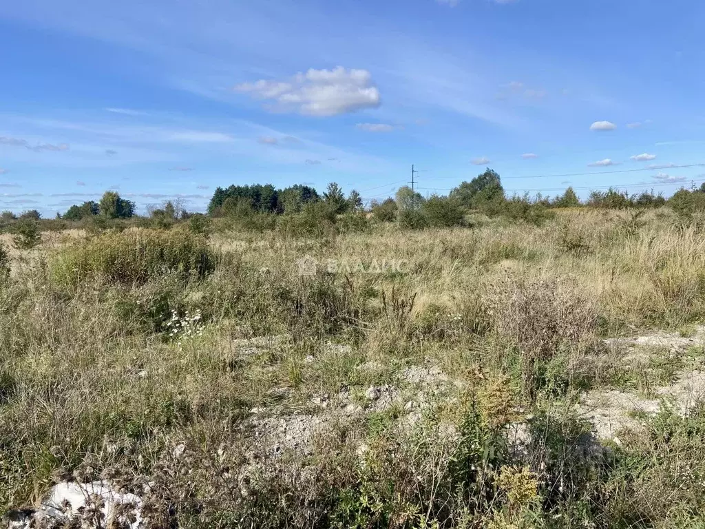 Участок в Калининградская область, Гурьевский муниципальный округ, ... - Фото 2