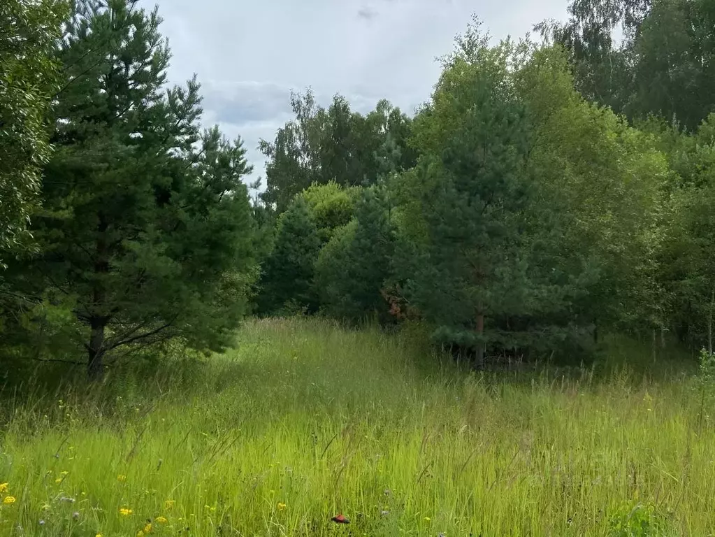 Участок в Нижегородская область, Богородский муниципальный округ, д. ... - Фото 0