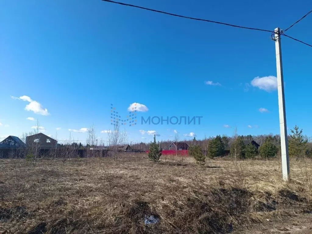 Участок в Нижегородская область, Богородский муниципальный округ, ... - Фото 1