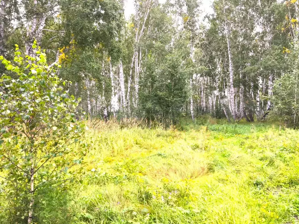 Участок 10,5 сот. (ИЖС) - Фото 0