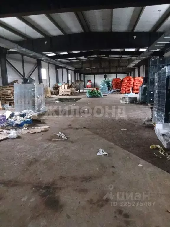 Помещение свободного назначения в Новосибирская область, Новосибирск ... - Фото 1