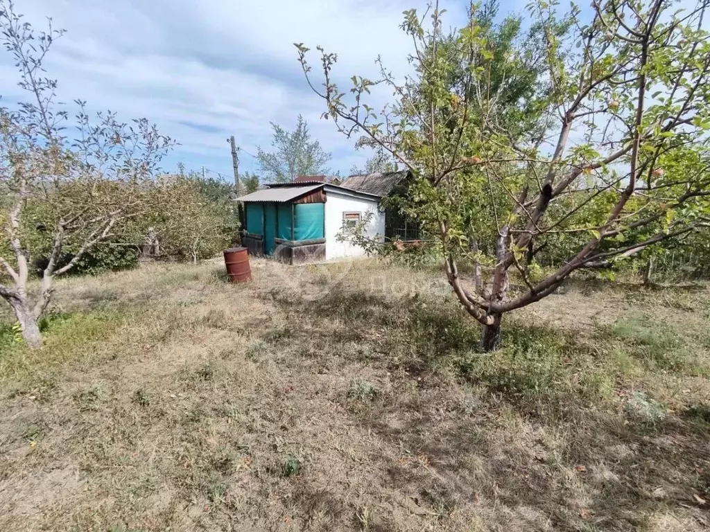 Участок в Волгоградская область, Волгоград Рекорд СНТ, 9-я линия (4.8 ... - Фото 0