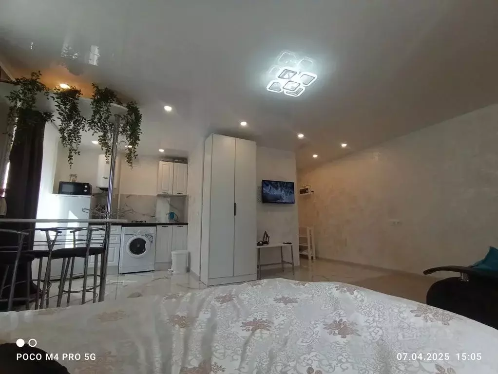 Студия Краснодарский край, Новороссийск просп. Ленина, 9 (33.0 м) - Фото 2