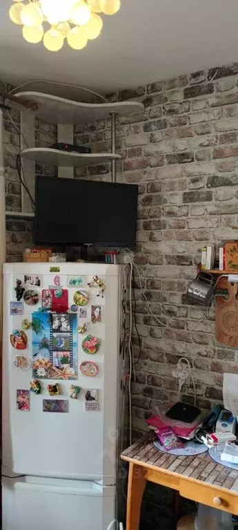 1-к кв. Ленинградская область, Лужский район, Володарское с/пос, пос. ... - Фото 2