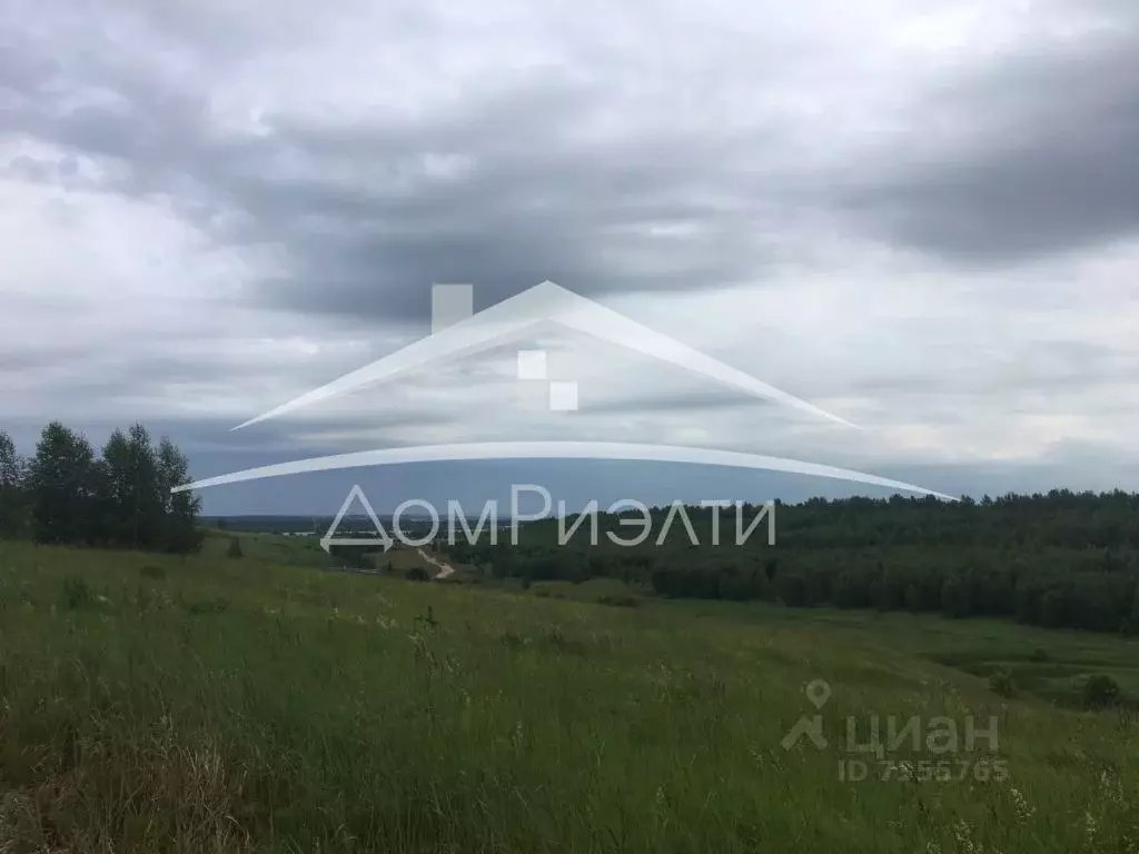 Участок в Нижегородская область, Богородский район, д. Хабарское  ... - Фото 0