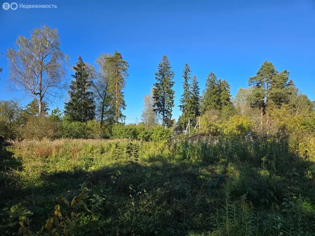 Участок в городской посёлок Вырица, улица Жертв Революции (10 м) - Фото 2