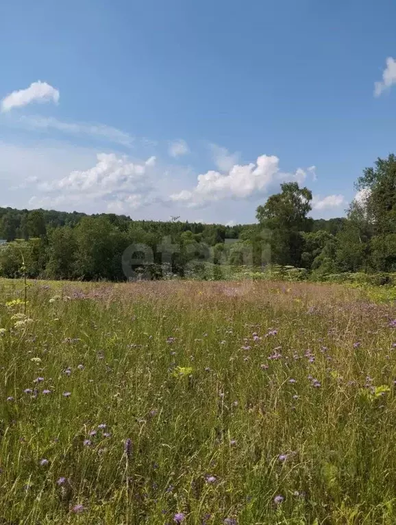 Участок в Калужская область, Малоярославецкий муниципальный округ, ... - Фото 2