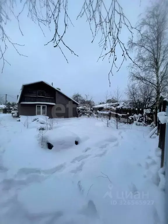 Участок в Ленинградская область, Никольское Тосненский район, Лесное-1 ... - Фото 1