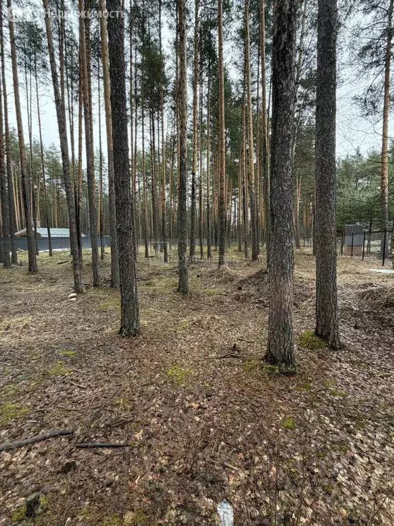 Участок в посёлок Улыбышево, Железнодорожная улица (11 м) - Фото 1