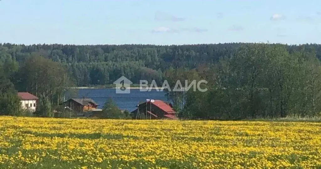 Дом в Ленинградская область, Приозерский район, Громовское с/пос, пос. ... - Фото 1