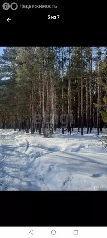 Участок в Курган, СНТ Солнечная Поляна (10 м) - Фото 1