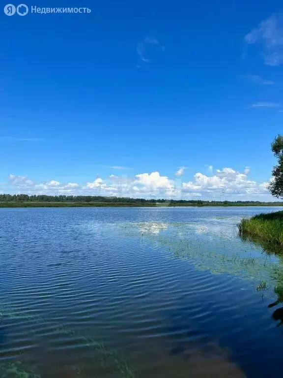 Участок в Костромской район, Бакшеевское сельское поселение, НСТ ... - Фото 1