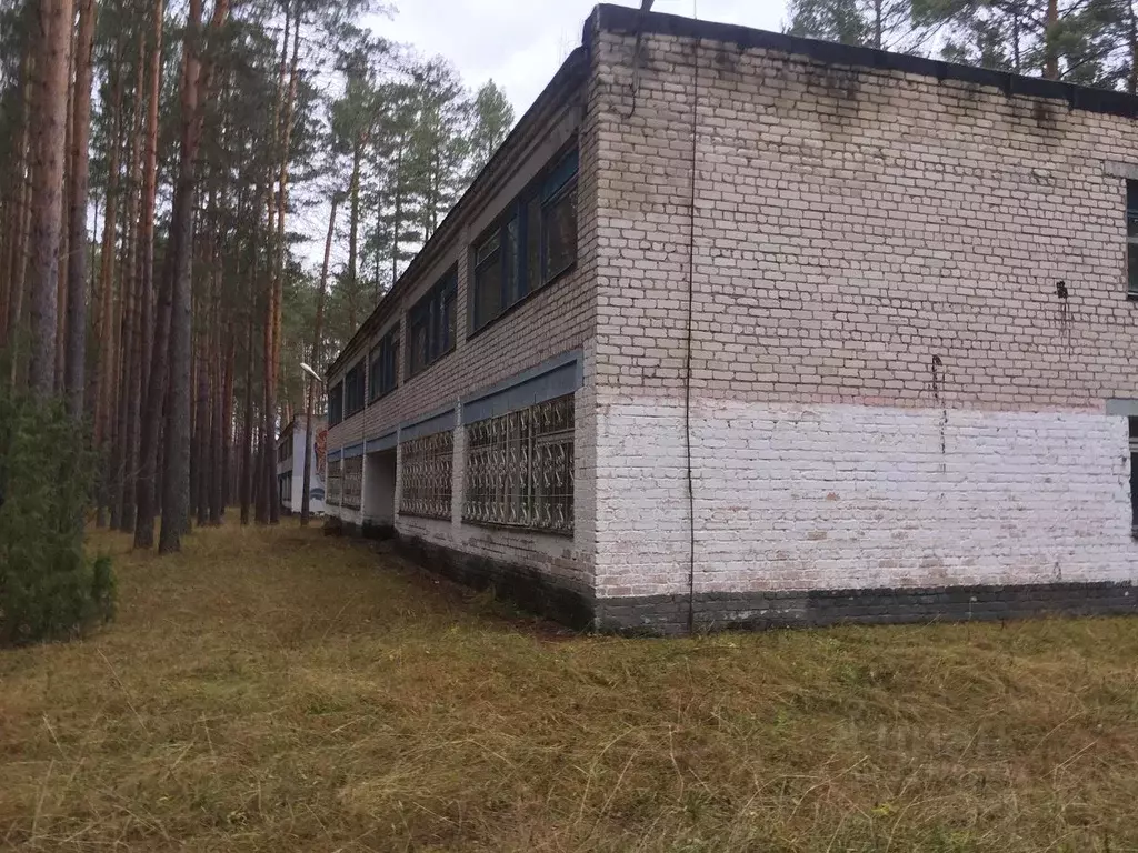 Помещение свободного назначения в Нижегородская область, Вадский ... - Фото 2
