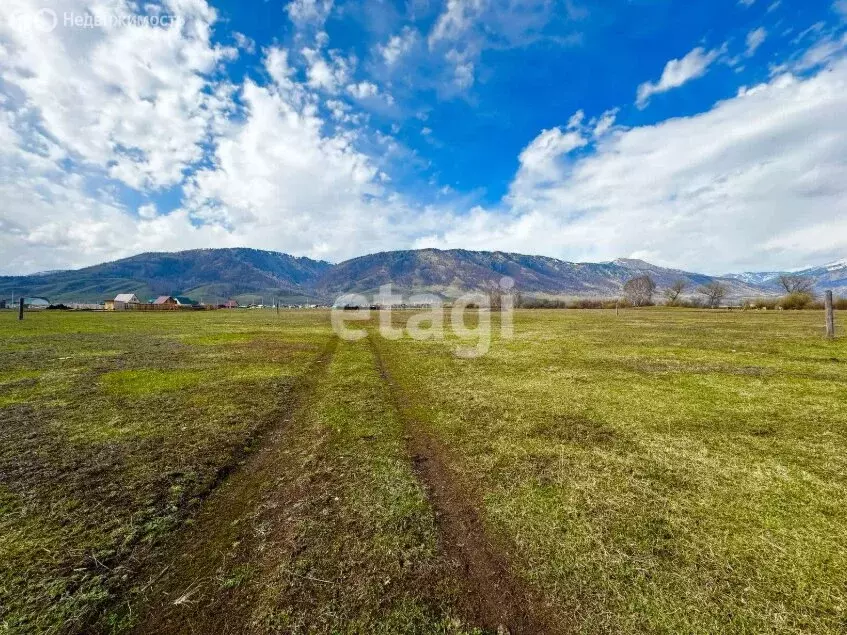 Участок в Усть-Кокса, улица Нагибина (15 м) - Фото 1