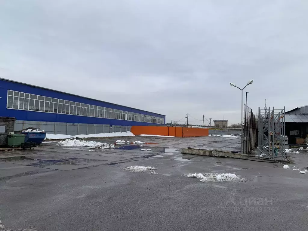 Склад в Московская область, Щелково городской округ, д. Медвежьи Озера ... - Фото 1